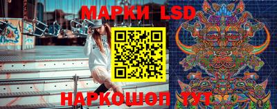 сатива Будённовск