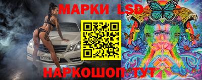 сатива Будённовск