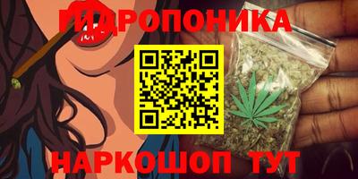 сатива Будённовск