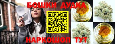 сатива Будённовск