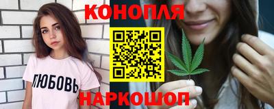 сатива Будённовск