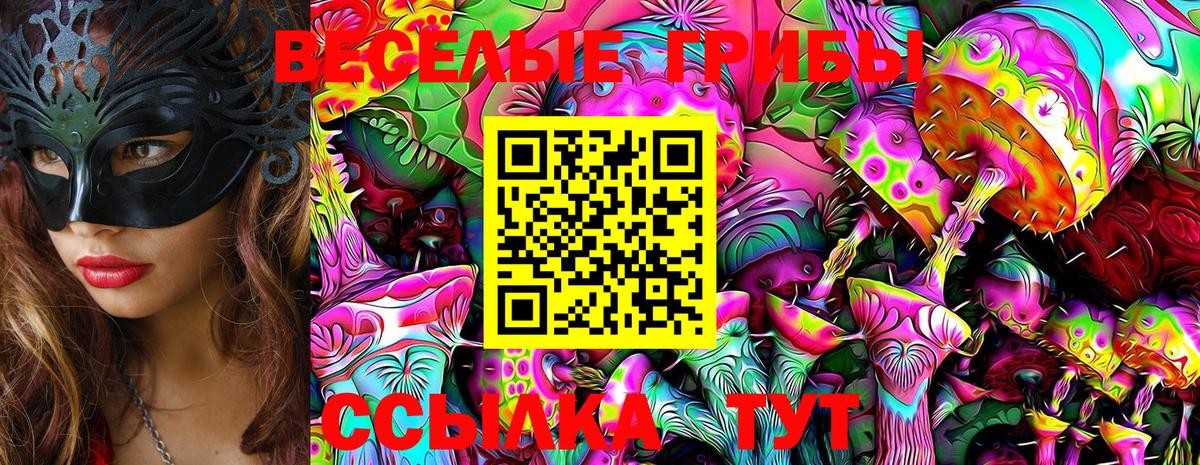 Галлюциногенные грибы Psilocybe Нерюнгри