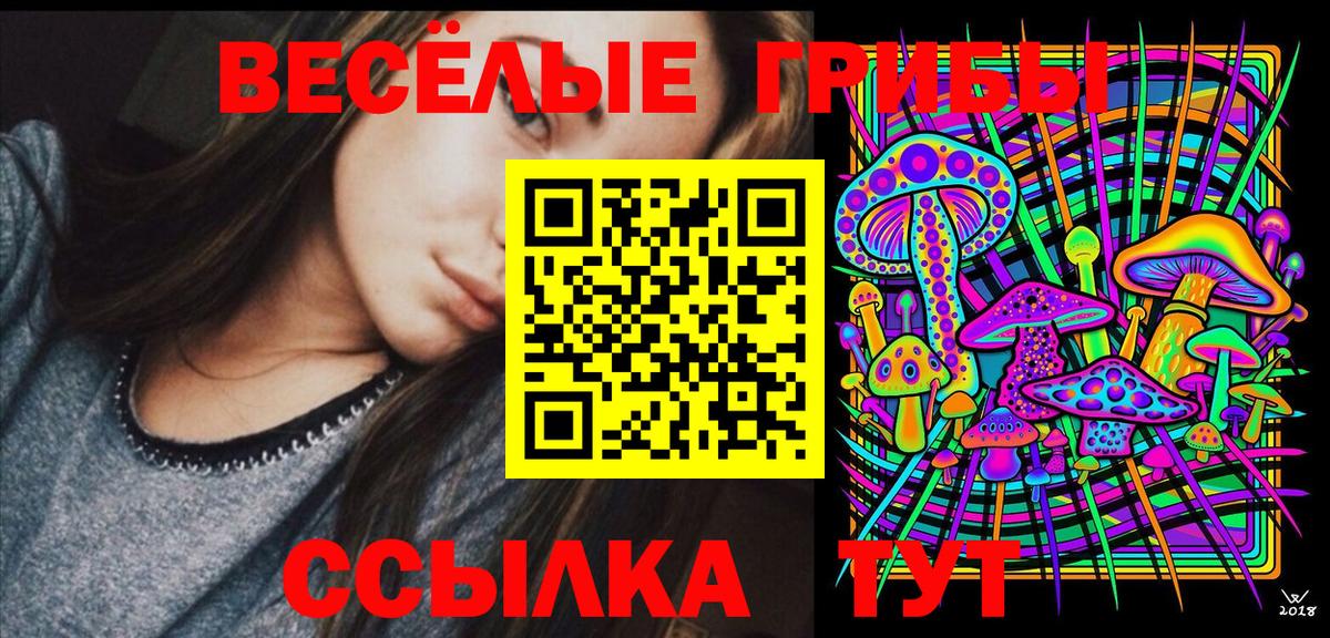 Псилоцибиновые грибы MAGIC MUSHROOMS  Вход с VPN  Нерюнгри 